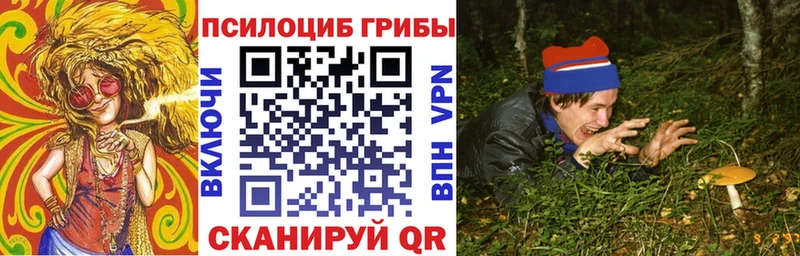 купить  цена  Киржач  omg как войти  даркнет формула  Псилоцибиновые грибы мицелий 